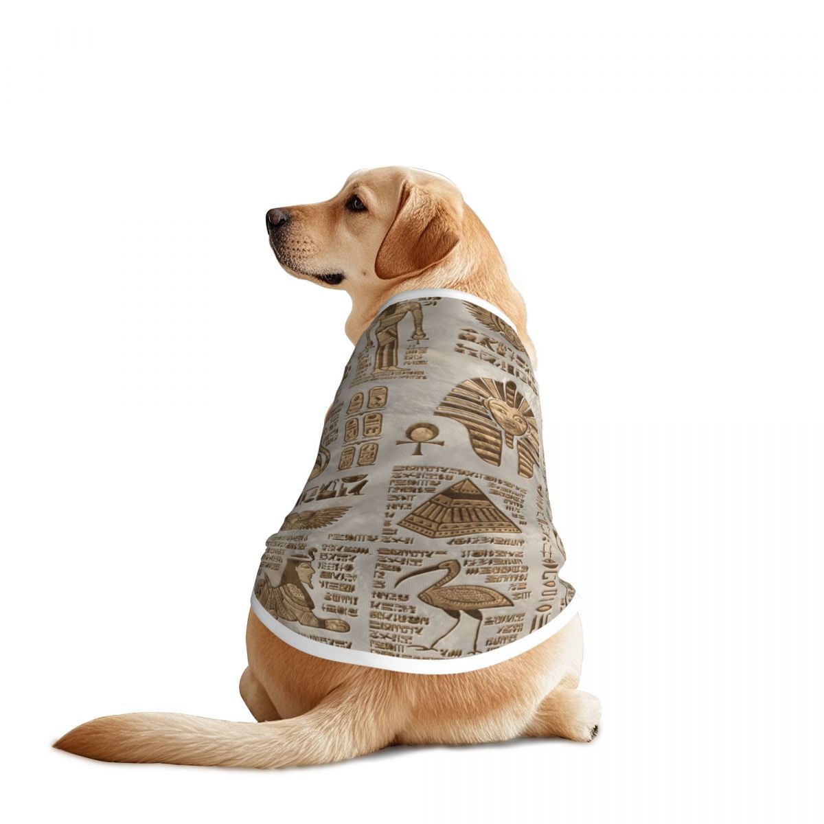 Pet Supplies Egypt - Hieroglif Mesir dan Dewa Rompi Hewan