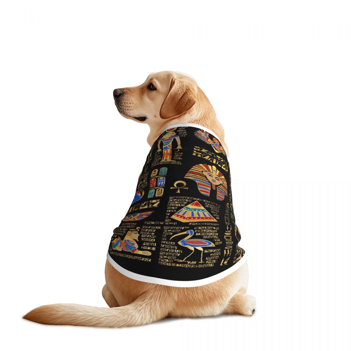 Pet Supplies Egypt - Hieroglif dan Dewa Mesir Rompi Hewan