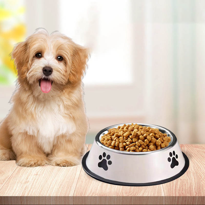 Mangkuk Makanan Hewan Pelihara - Pet Supplies Dog Food ulasan dan harga