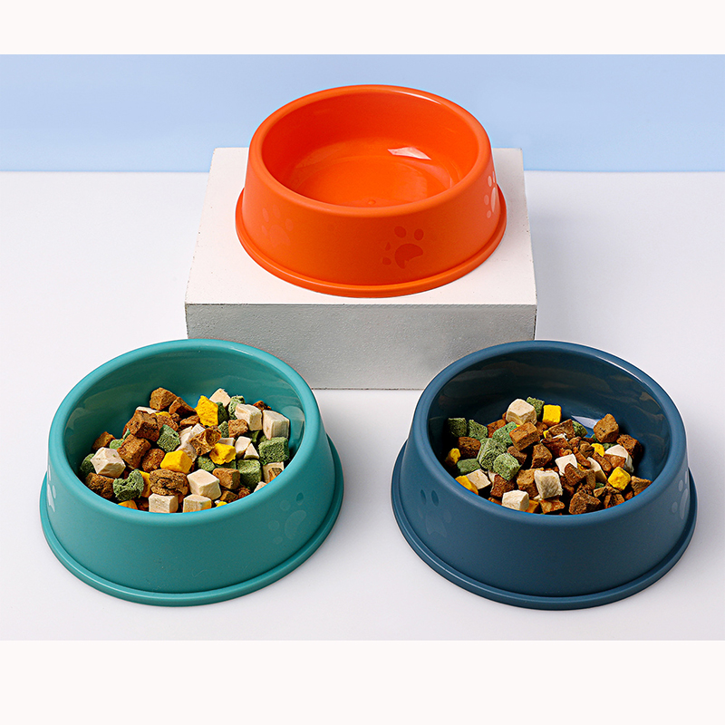Mangkuk Hewan Peliharaan Warna - Pet Supplies Dog Food ulasan dan harga