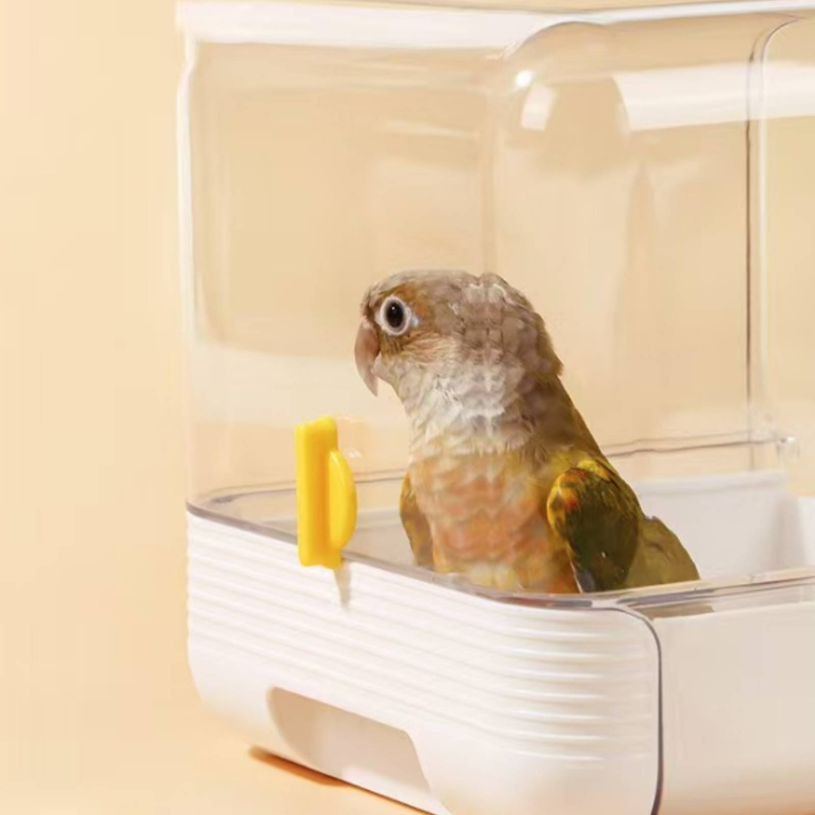 Bak Mandi Burung Multifungsi,  - Pet Supplies In ulasan dan harga