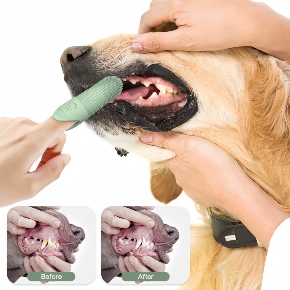 360 °   Sikat Gigi Jari Siliko - Pet Supplies Dog Food ulasan dan harga